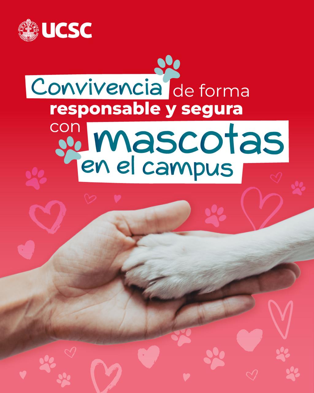 Convivencia Responsable con Mascotas